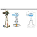 Power Station High Temperatur and Pressure Gate Valve